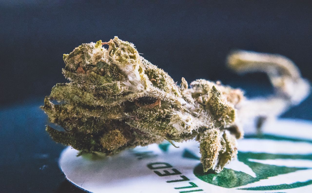 Crafting Captivating Headlines: Your awesome post title goes here Detailed view of a dried cannabis bud, showcasing its texture and trichomes.